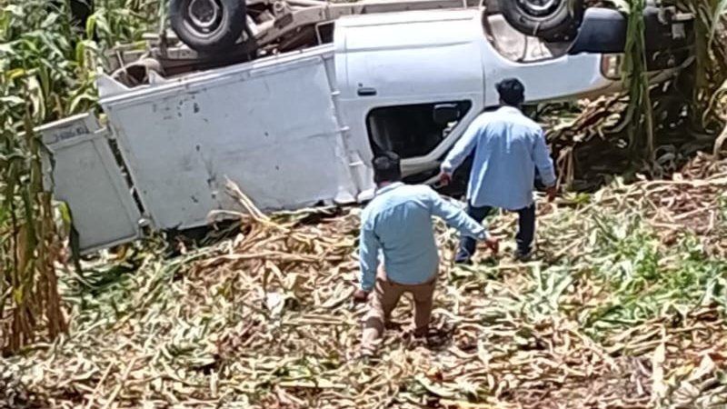 El Heraldo de Chiapas tweet media