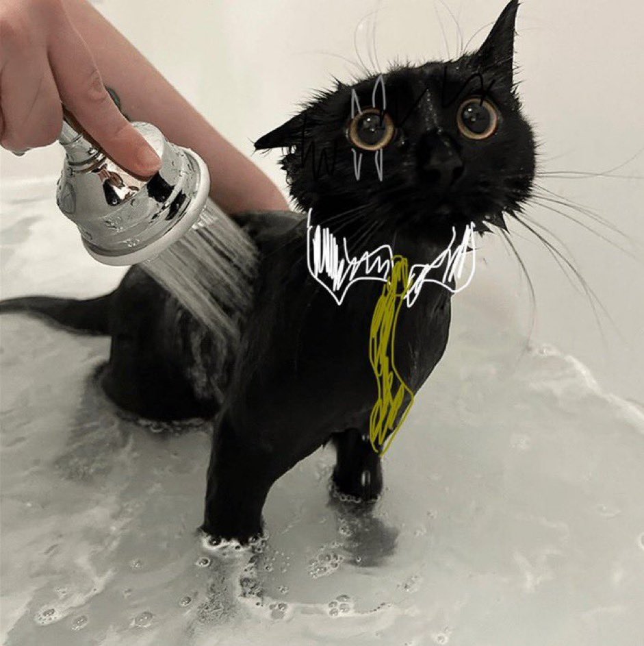 winnter snow 🐕 tweet media