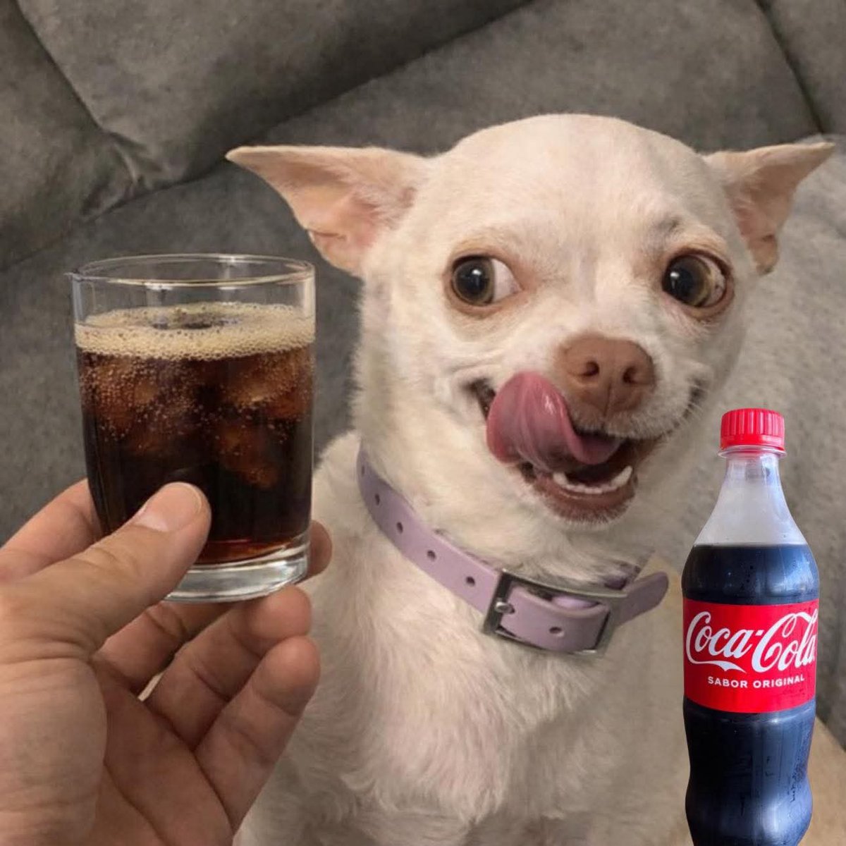 金玉洗えw tweet media