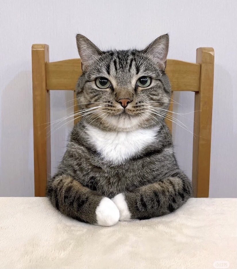 Muffin St. Cool tweet media