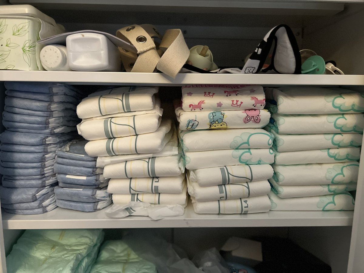 🍼🦖 Cammosaurus-Rex 🦖 🍼 tweet media