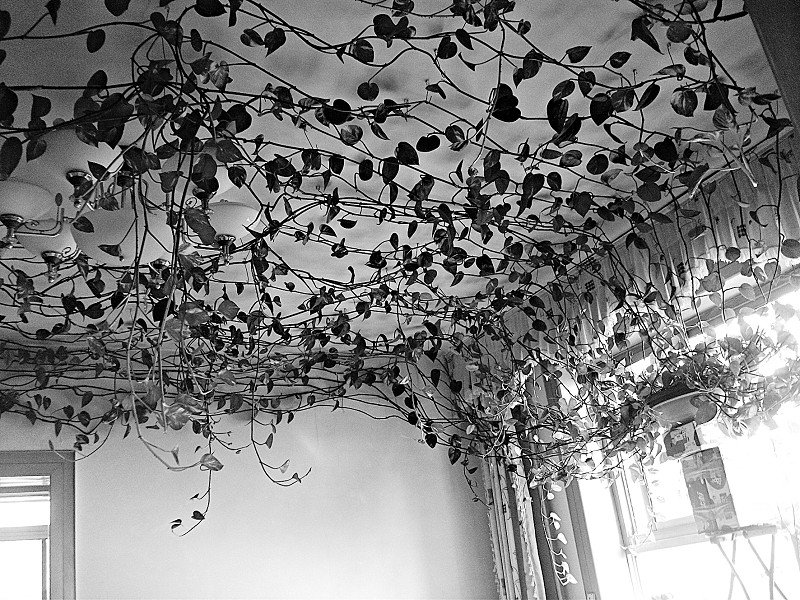 Troy T. Turner tweet media