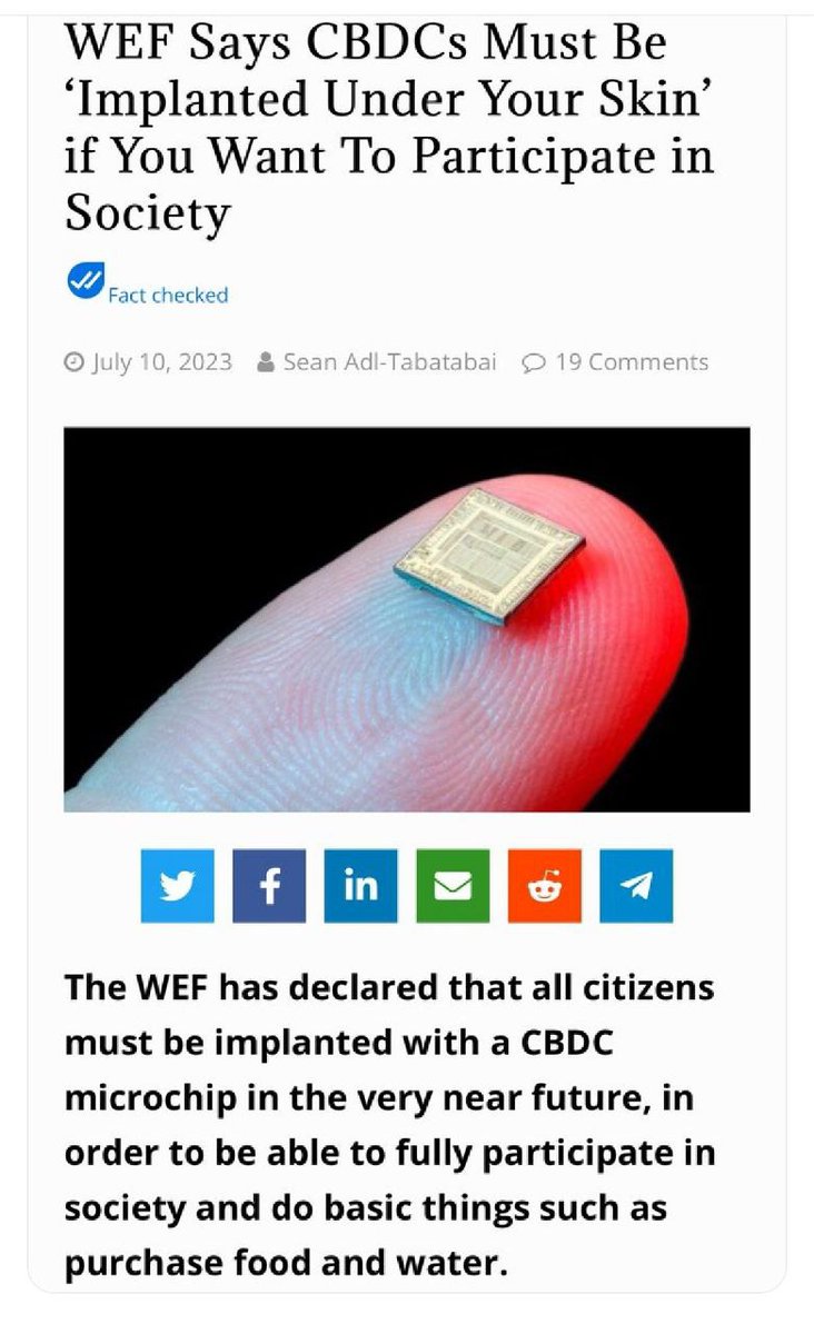 rabbitholebot tweet media