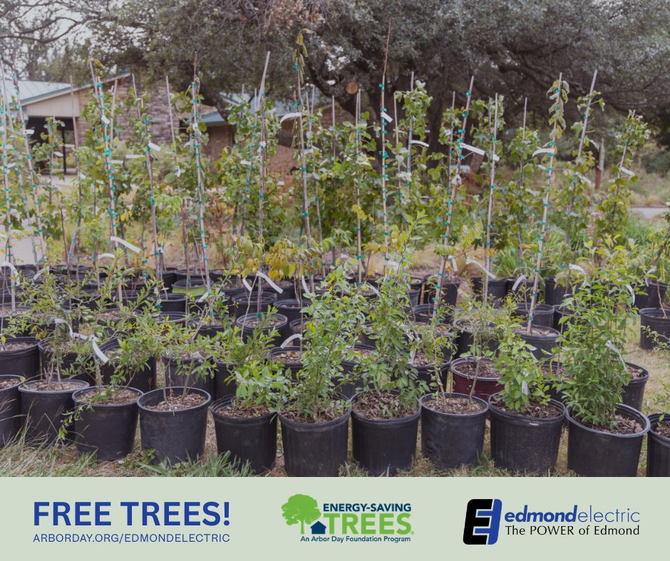 CityofEdmond's tweet photo. FREE TREES! Edmond Electric, Edmond Urban Forestry, &amp; the Arbor Day Foundation are teaming up once again to bring our community the Energy-Saving Trees Program! Residents within Edmond City limits can reserve a tree beginning Mon., April 6.

Full Details: https://t.co/LHxmnugHKu https://t.co/Tcq0xaczc2