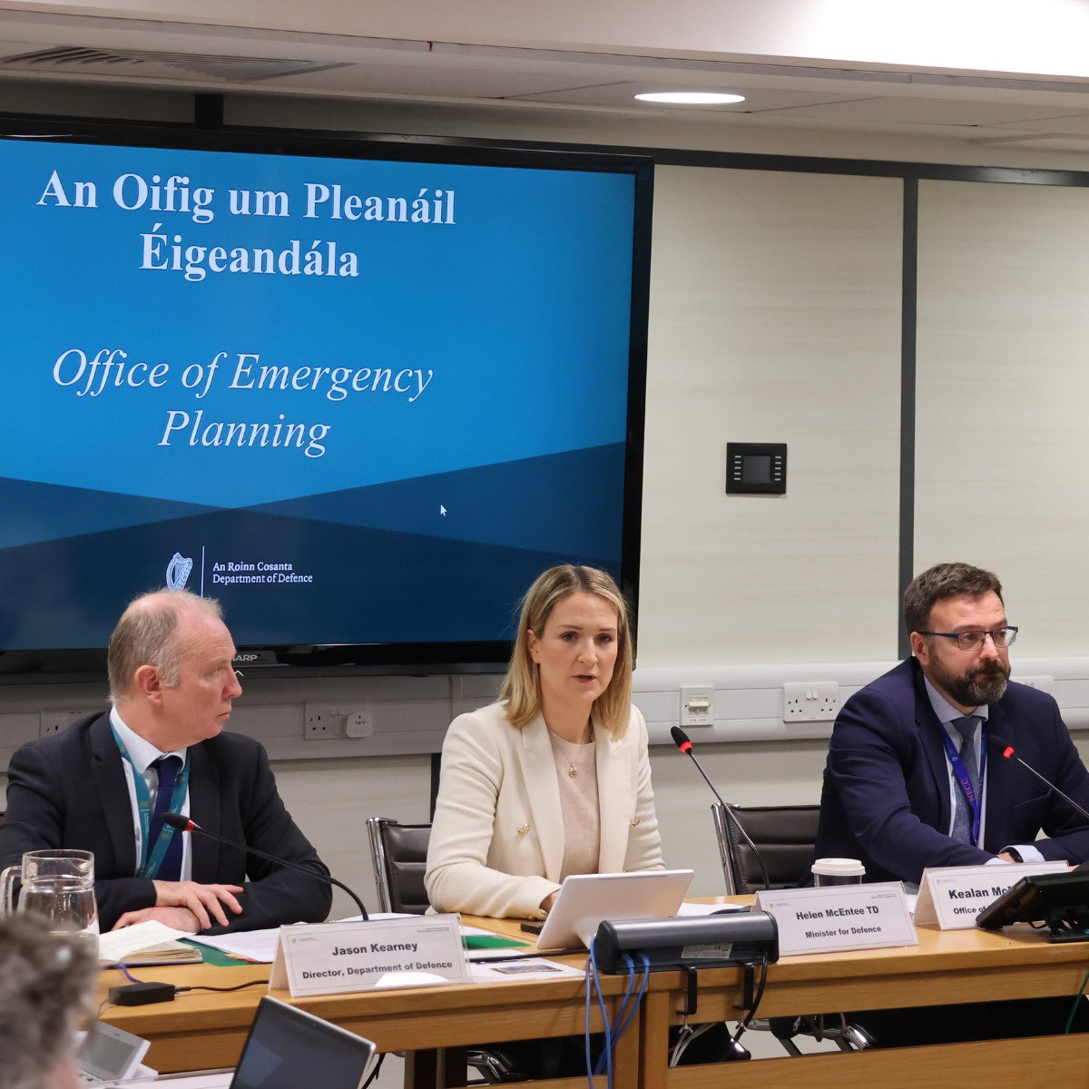 Helen McEntee TD tweet media