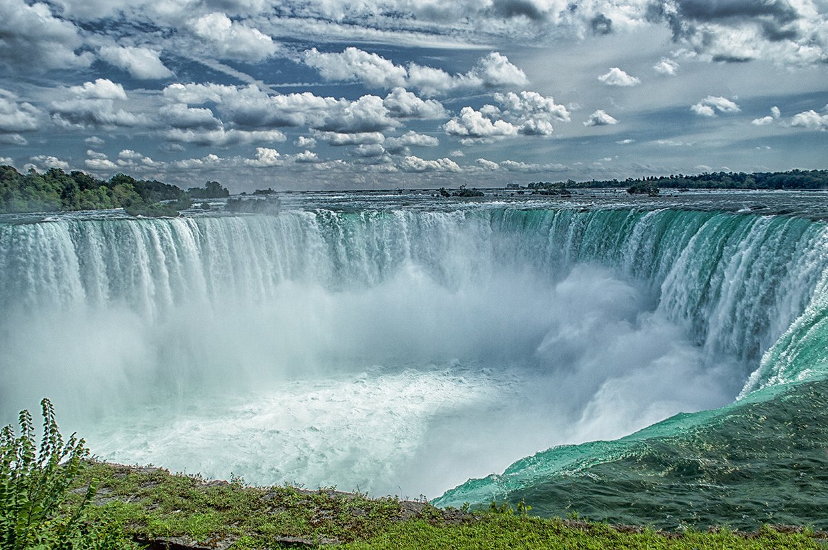 Stephanie Alexandra tweet media