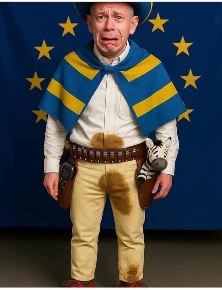 Erika Szabó tweet media