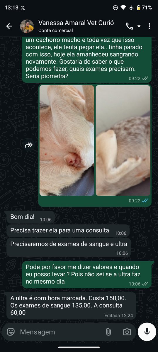 thai 🐼 tweet media