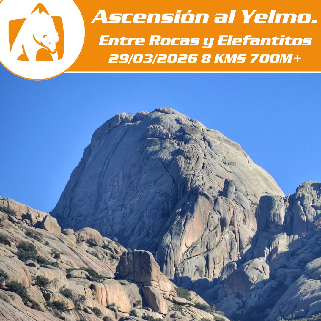 The Bear Outdoor tweet media