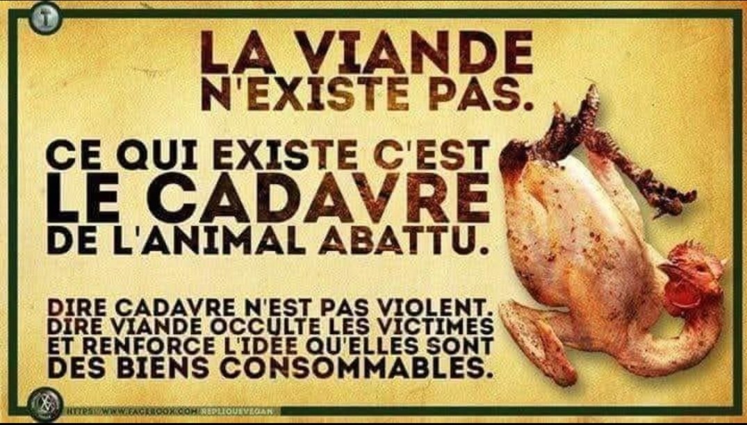 MarilyneChenuet's tweet image. La #viande n'existe pas. 
Ce qui existe, c'est le cadavre de l'#animal abattu.
Dire cadavre n'est pas violent.
Dire "viande" occulte les victimes et renforce l'idée qu'elles sont des biens consommables. 👏🏻👏🏻👏🏻👍🏻
#meat