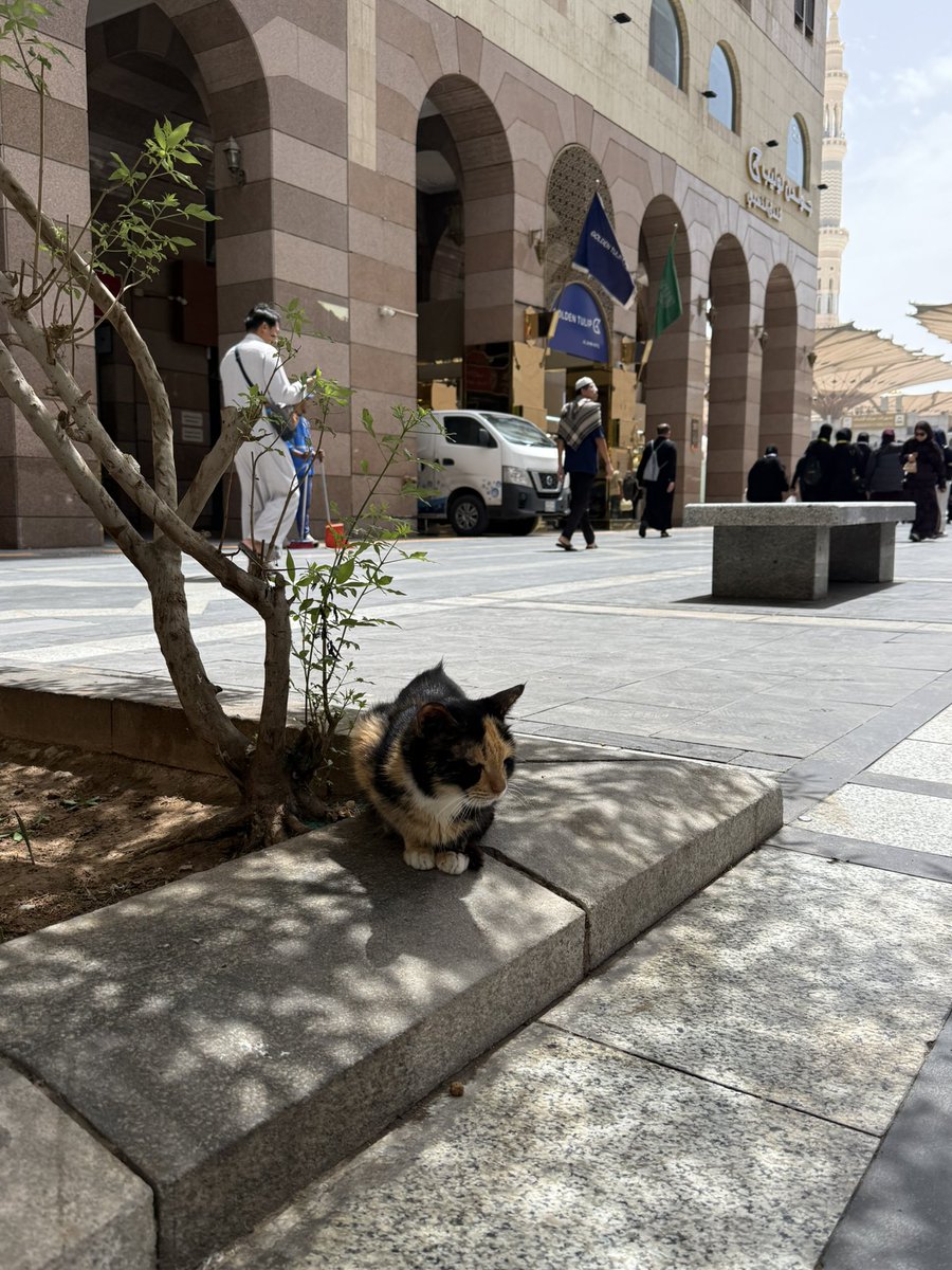 sara ღ tweet media