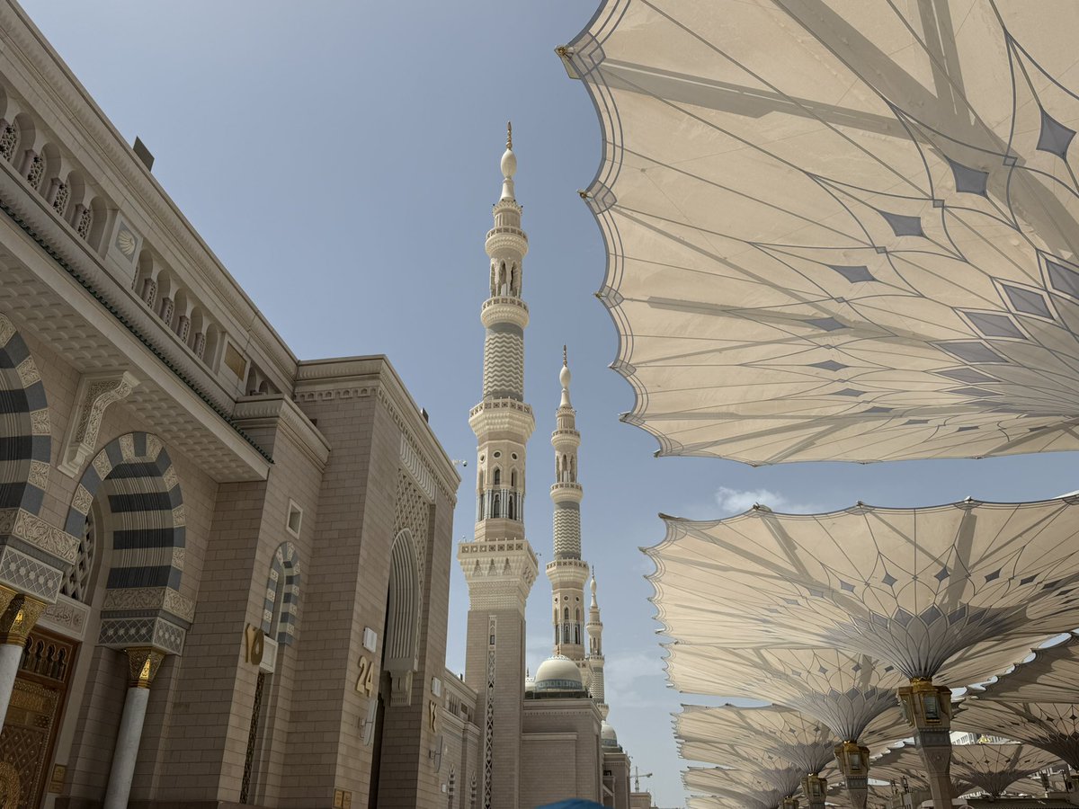 sara ღ tweet media