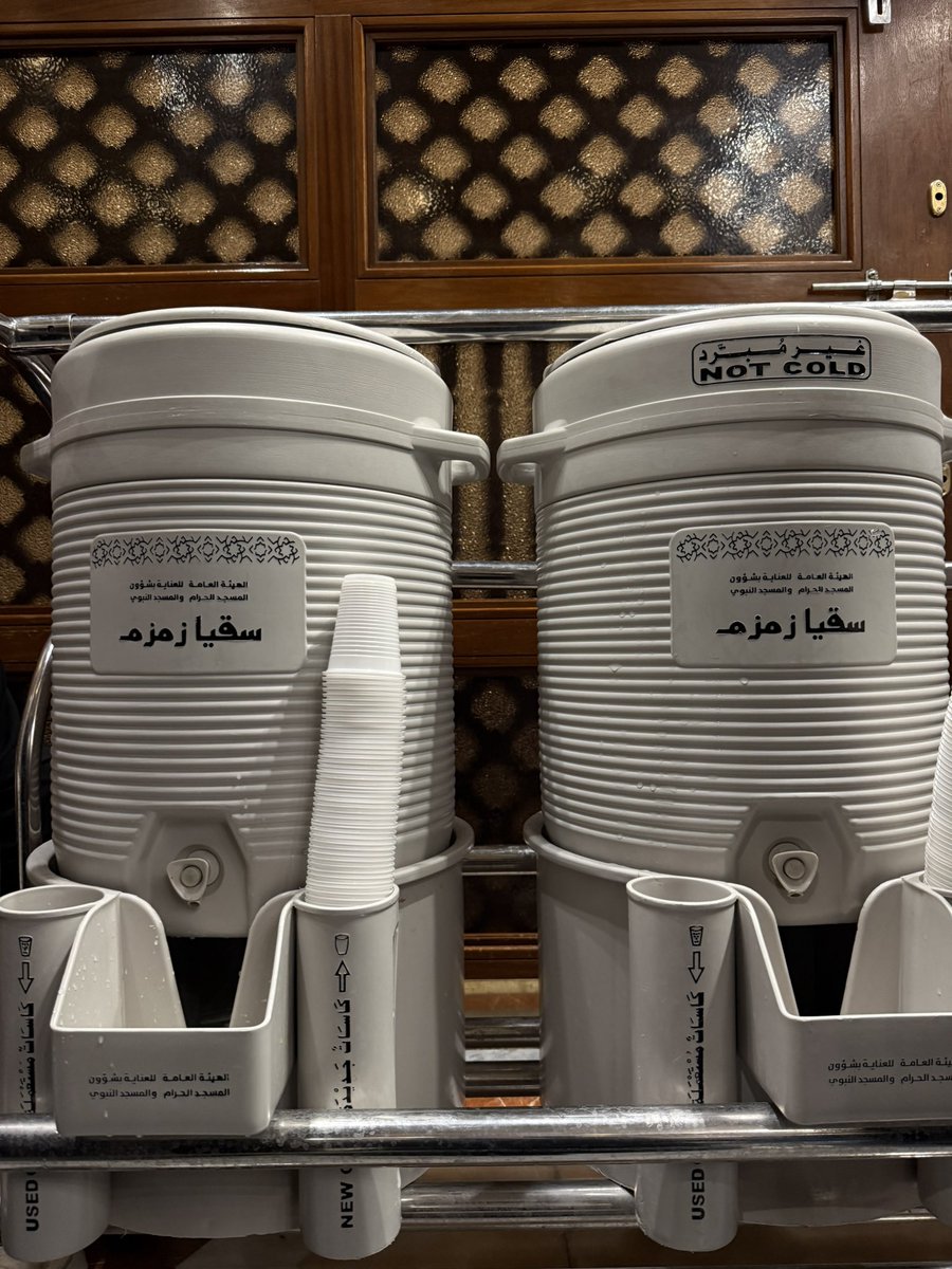 sara ღ tweet media