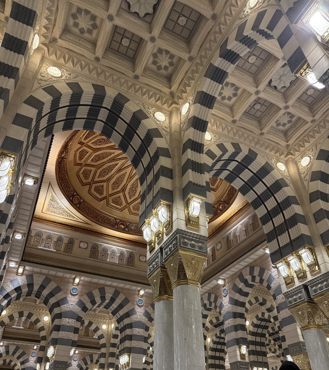 sara ღ tweet media