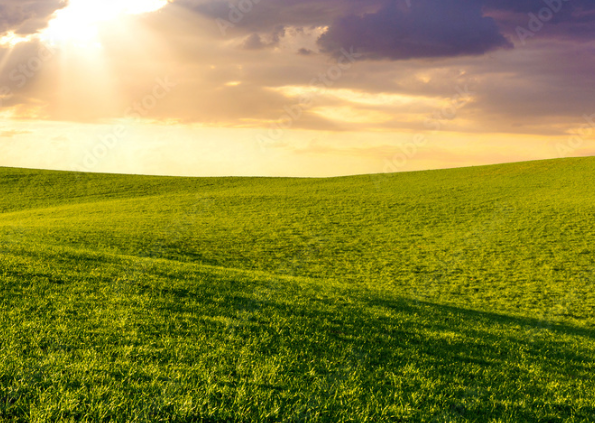 3du Constantino - Commissions Open tweet media