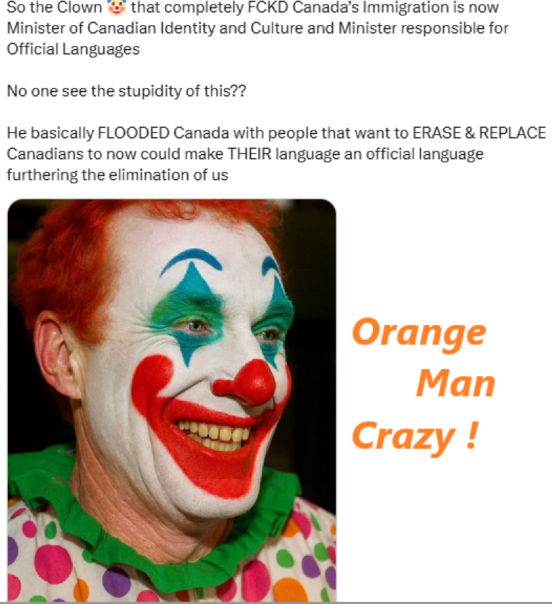 Will Quest tweet media