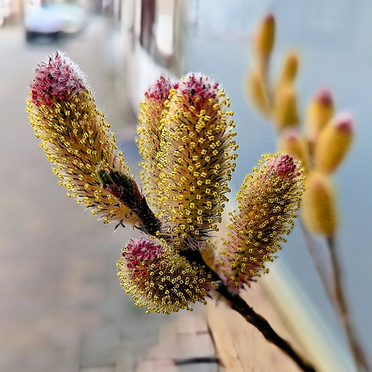 🤎Squirrel🧡 tweet media