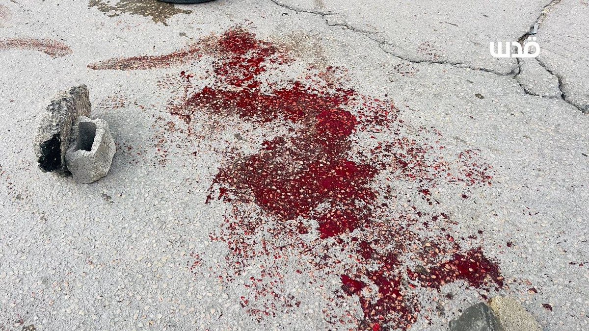 شبكة قدس الإخبارية tweet media