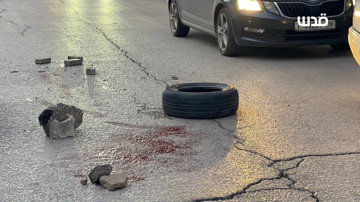 شبكة قدس الإخبارية tweet media