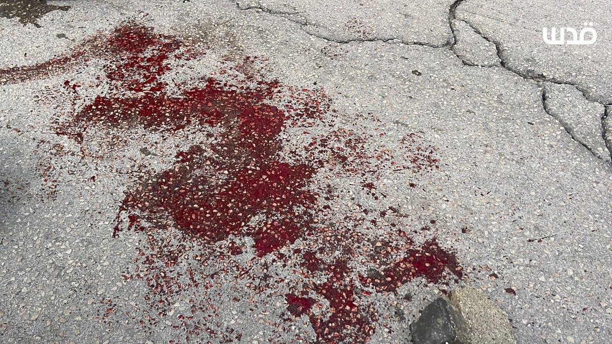 شبكة قدس الإخبارية tweet media