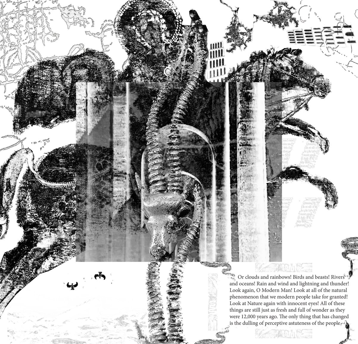 emptycollective tweet media