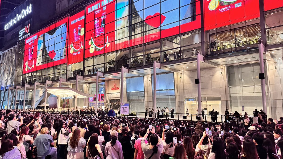 blooming 💌 tweet media