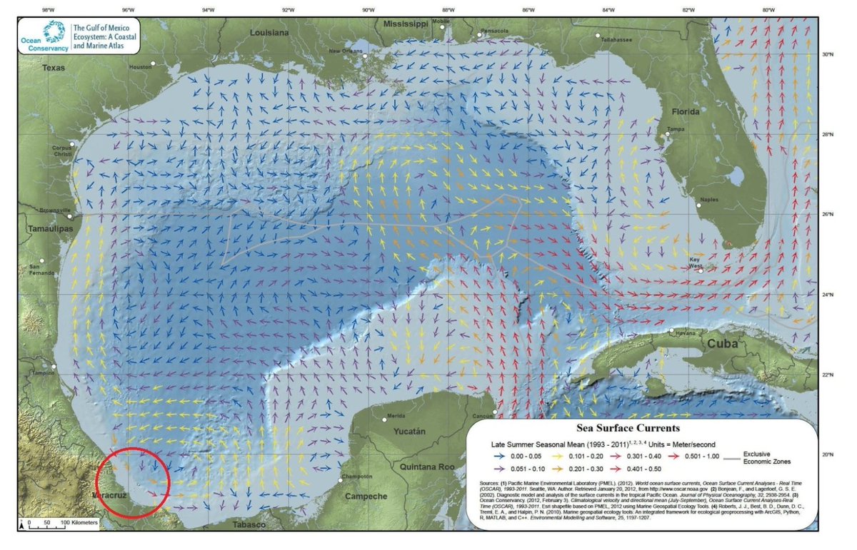 Gonzalo Monroy tweet media