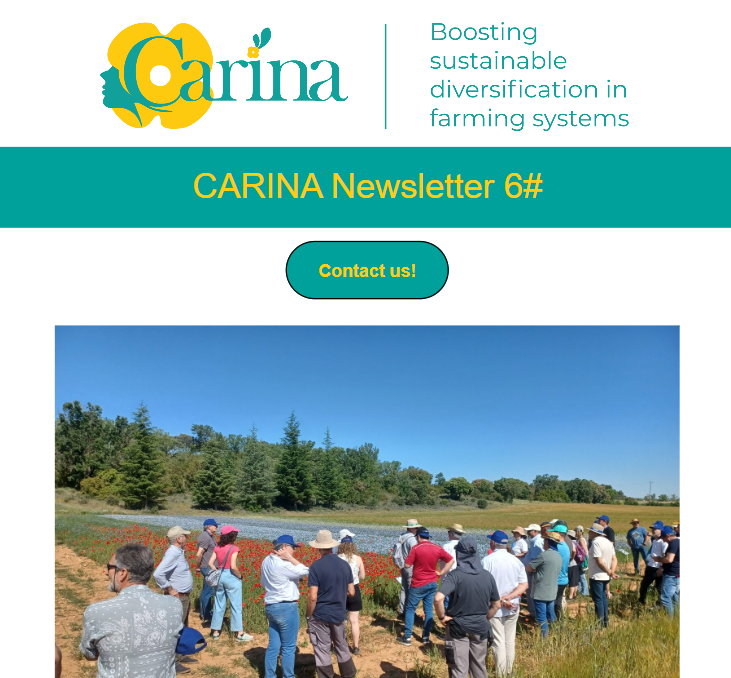 CARINA project tweet media