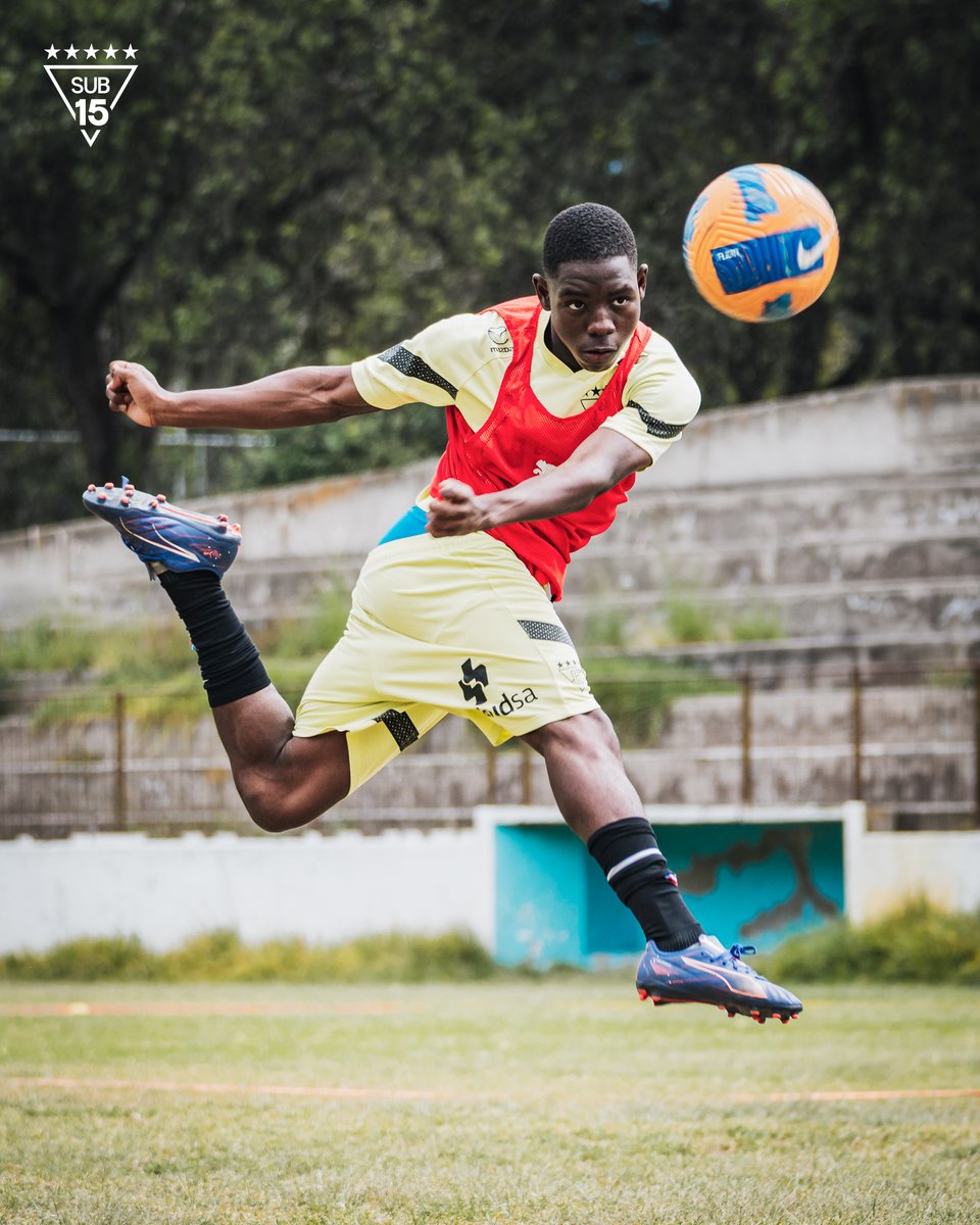 Formativas LDU tweet media