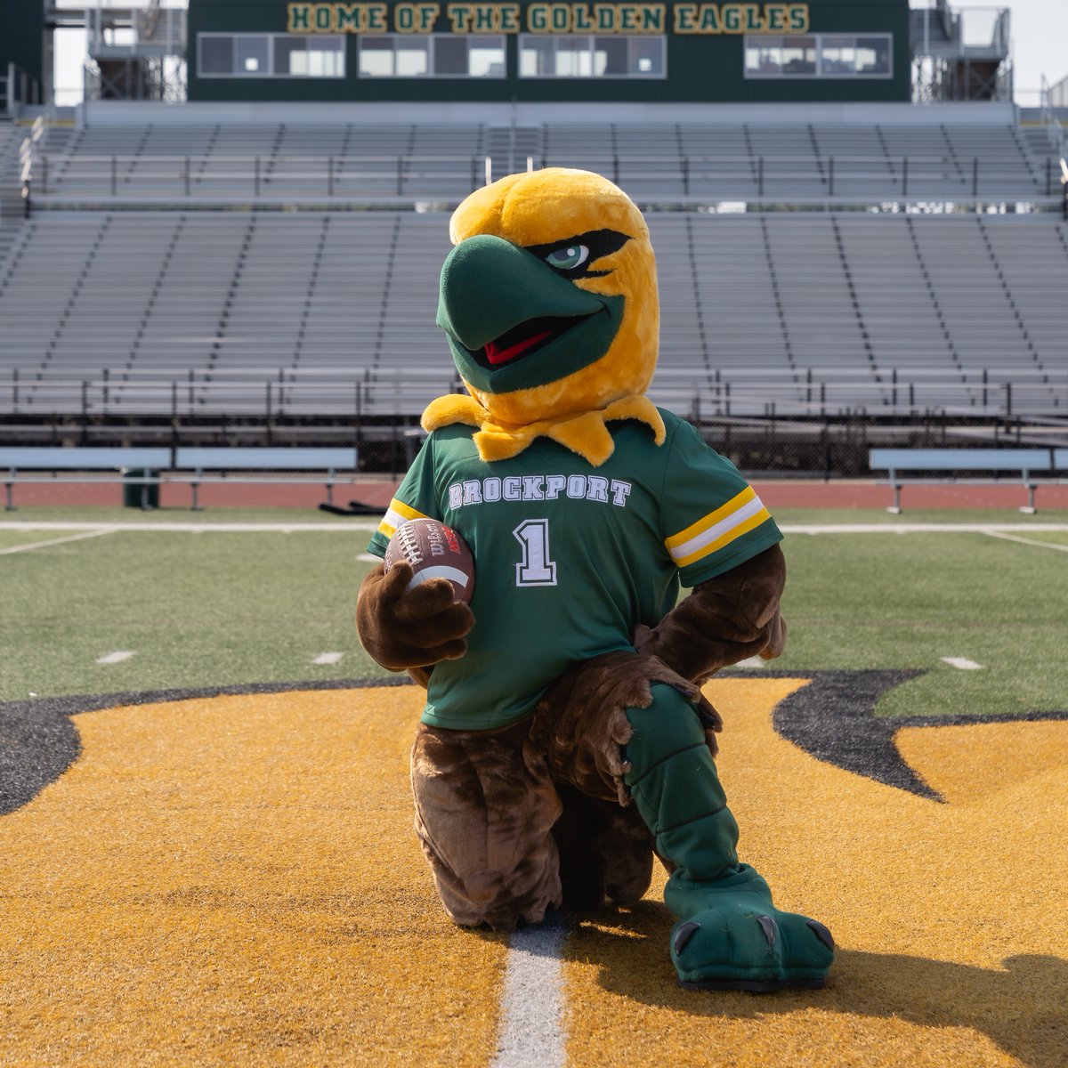 Brockport's tweet photo. Social voting for #MascotMadness is officially live!❗️
In addition to voting on @SUNY's website, you can now vote for Ellsworth Eagle in SUNY’s Instagram Story poll — for the next 24 hours only.
Vote here: https://t.co/ktDyHQwjWv https://t.co/1fCrFECpIm