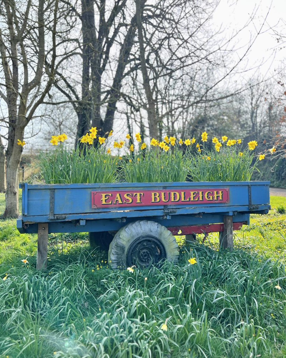 Visit Budleigh Salterton tweet media