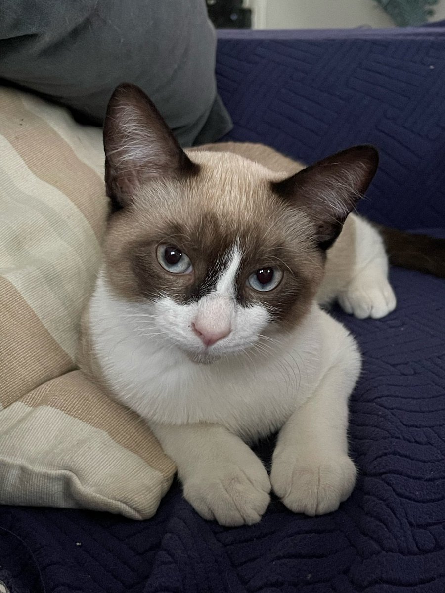 Asunyoon tweet media