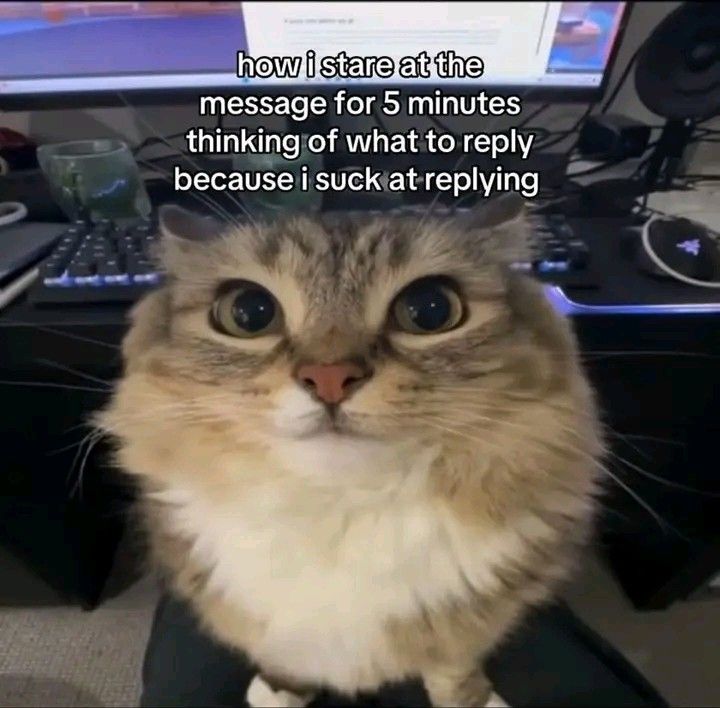 ella🌸 tweet media