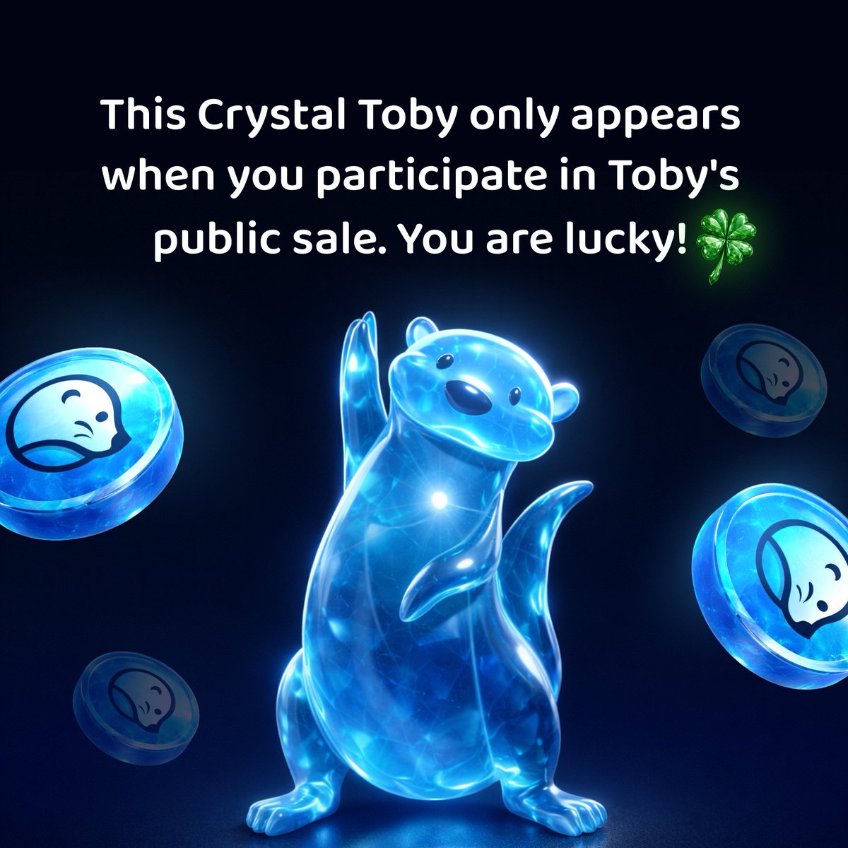 Toby 🦦 tweet media