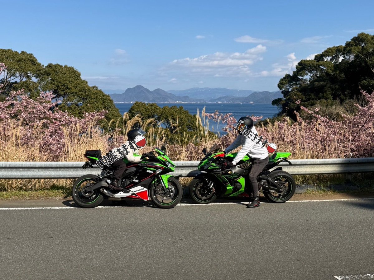 ひかり tweet media