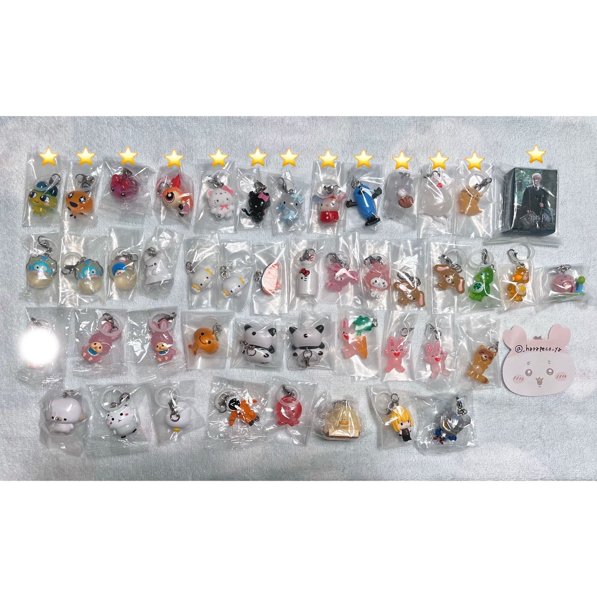 はらぺこ。 tweet media