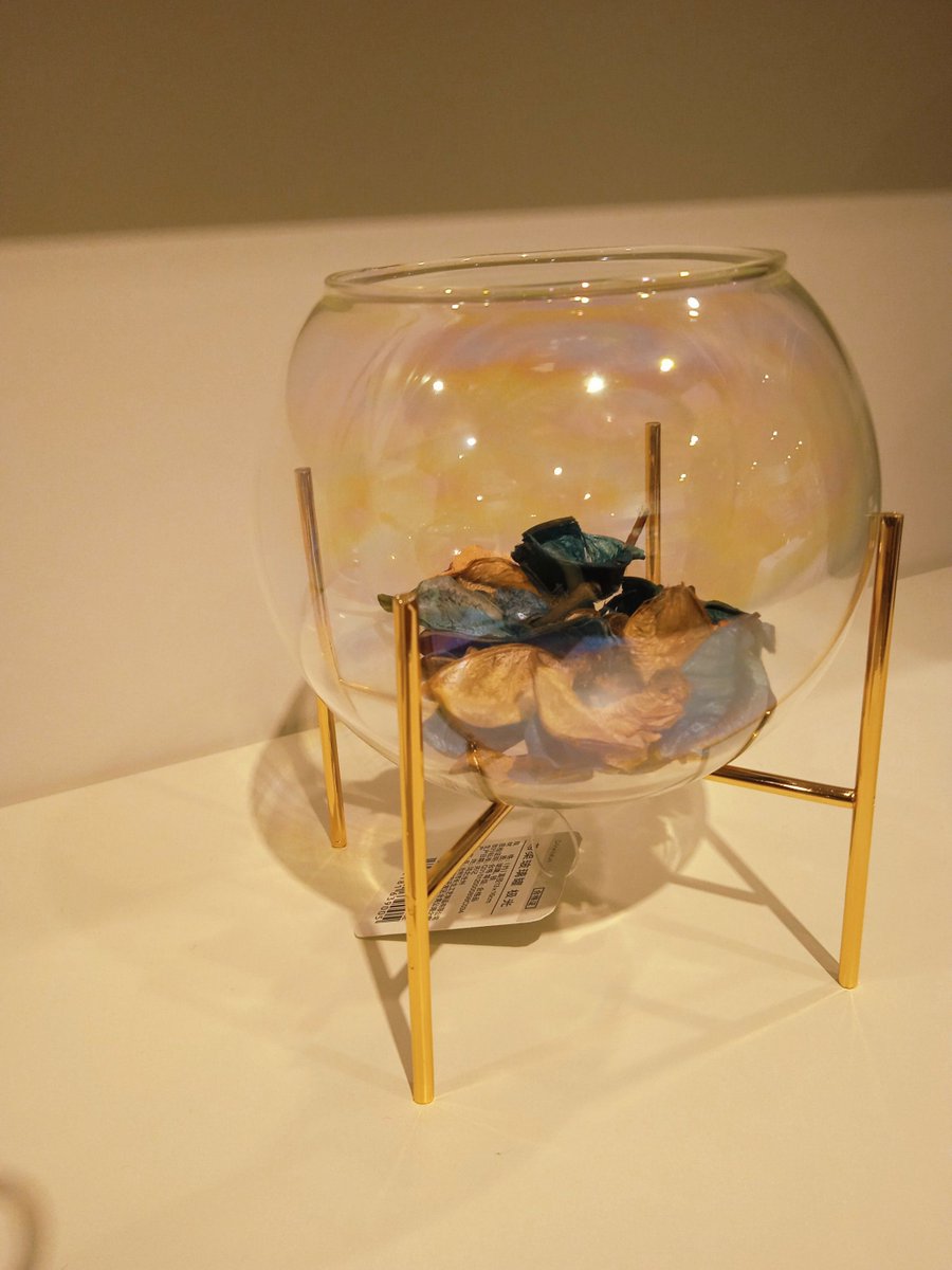 hannah08 tweet media