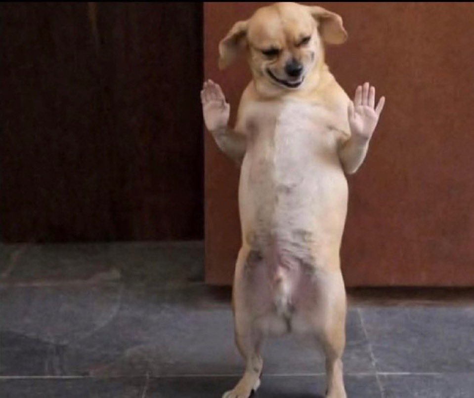 Driko✨ tweet media