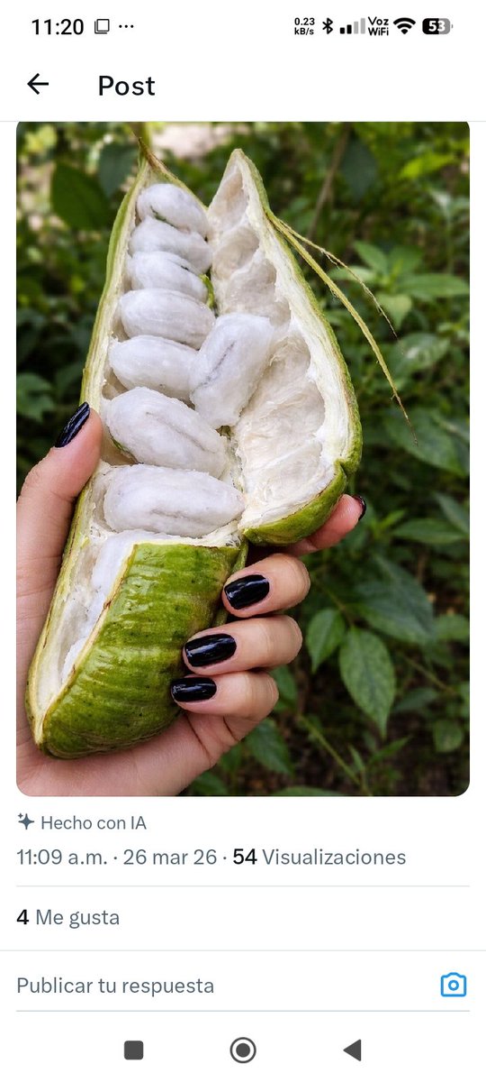 𝗝🅞︎𝗿𝗴𝗲 𝗩𝗂𝗅𝗅𝖺𝗋𝗋𝗈𝖾𝗅🇻🇪 tweet media