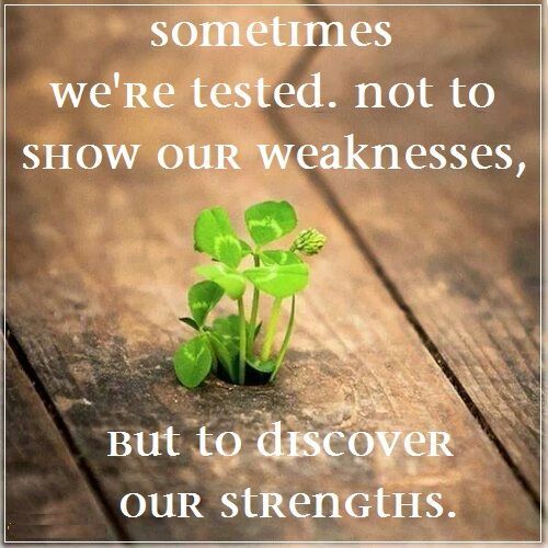 etc!graphics, inc. tweet media