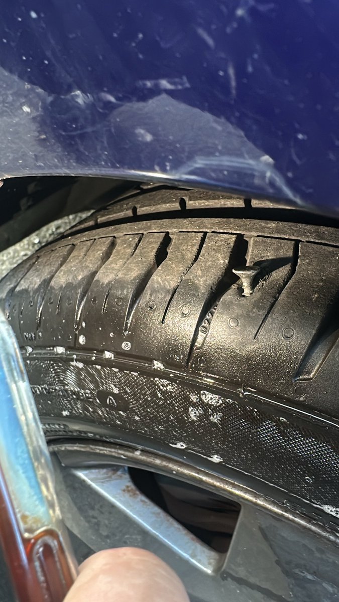 🇩🇿 tweet media