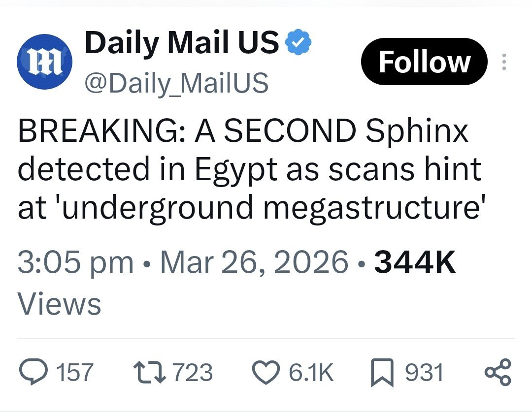 PAW (Peter) tweet media