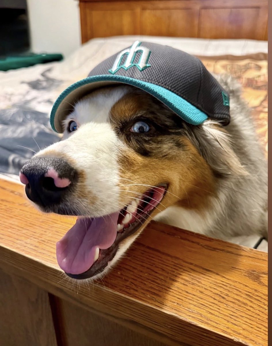 Golden_Domer12's tweet photo. Happy Opening Day. GO M’s!!!!!! https://t.co/FsImNnMFjr