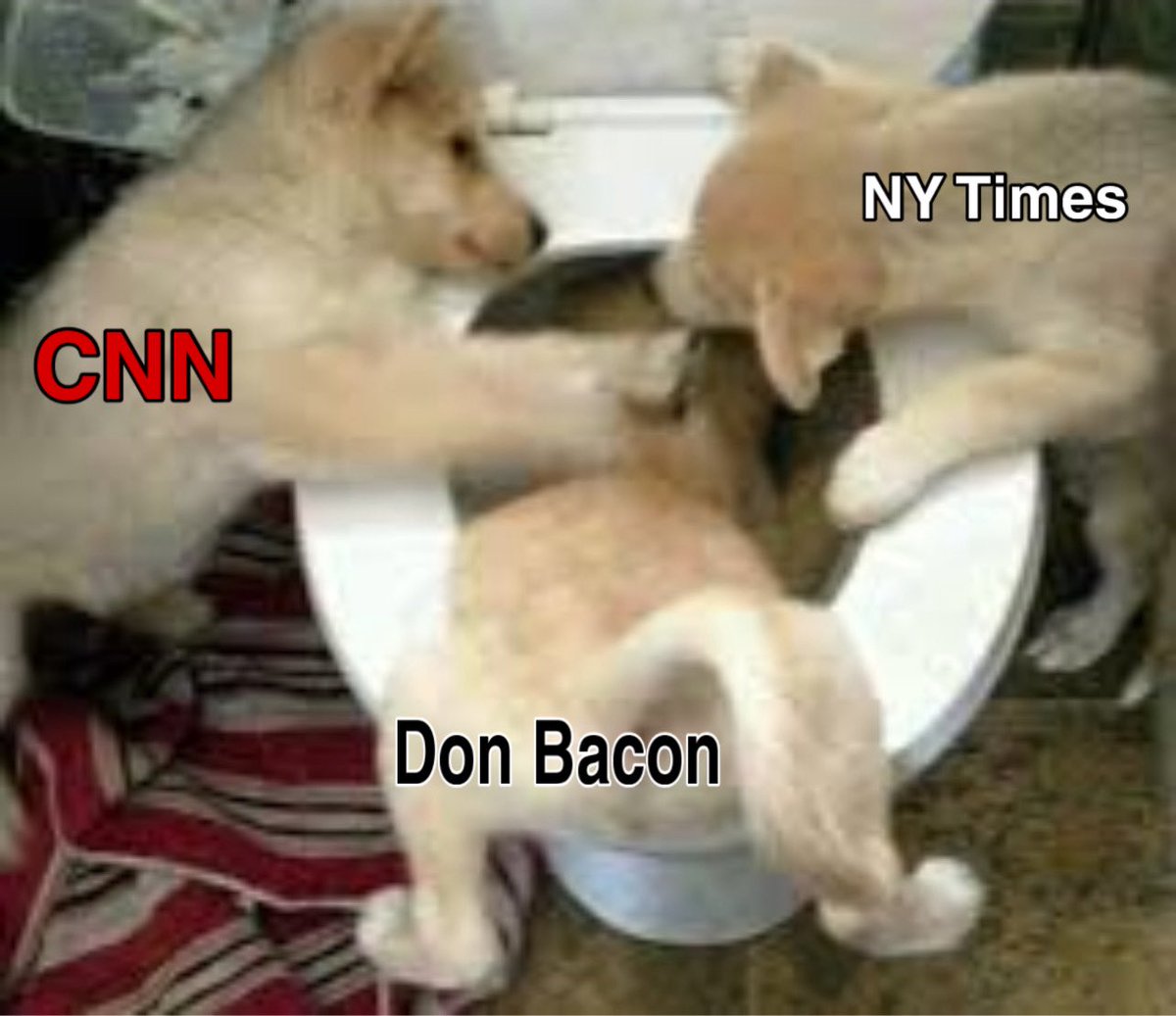 Rhule-Aid tweet media