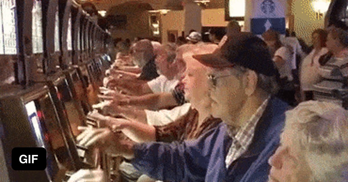 CatGirl Kulak 😻😿 (Anarchonomicon) tweet media