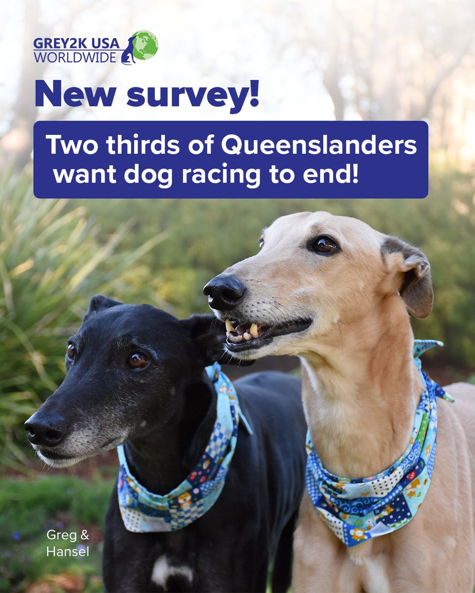 GREY2K USA Worldwide tweet media