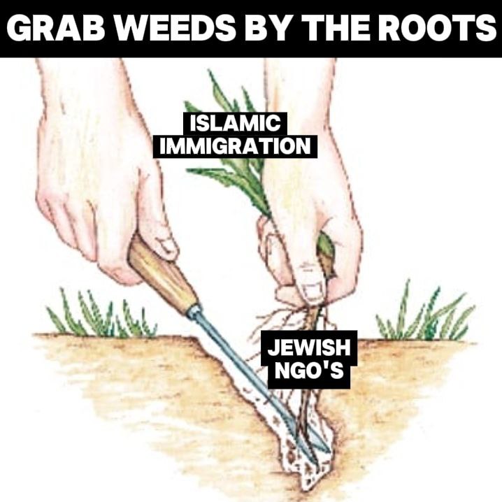 ✡︎ Rabbi Suckleberg 🇮🇱 tweet media