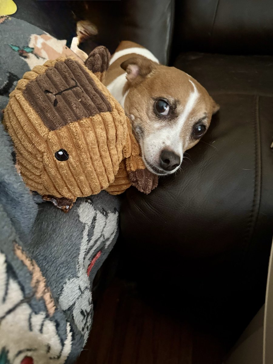 Ray Patterson tweet media