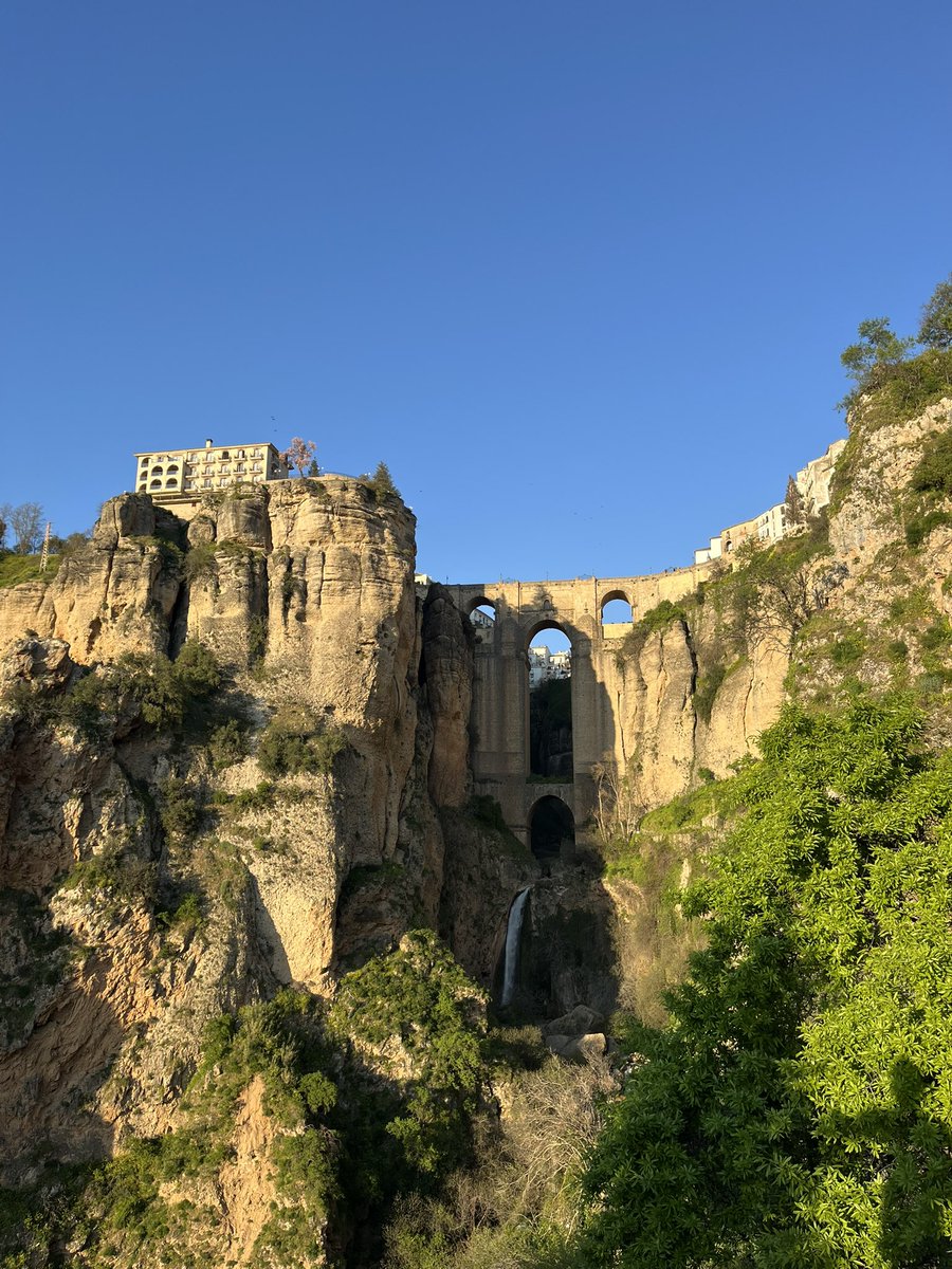 полин, переведи? tweet media