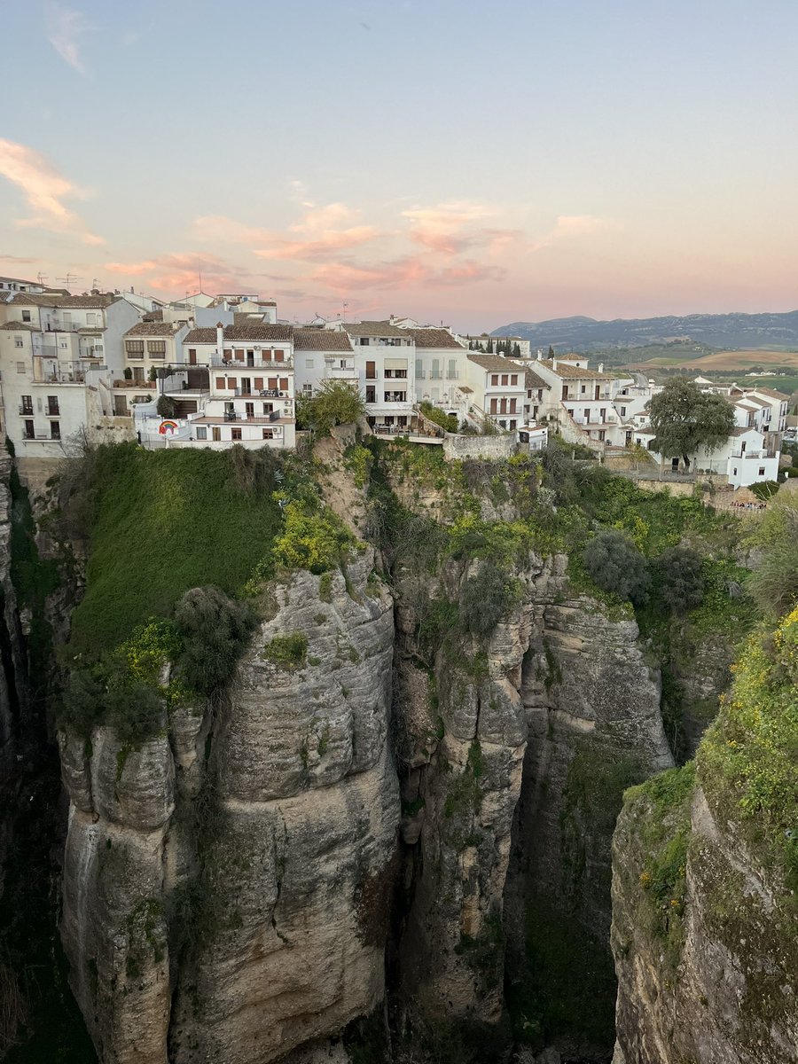 полин, переведи? tweet media